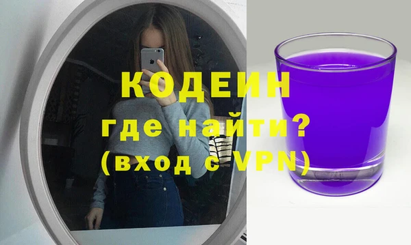 индика Володарск
