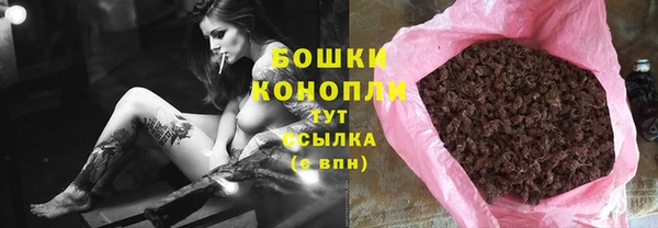 индика Володарск