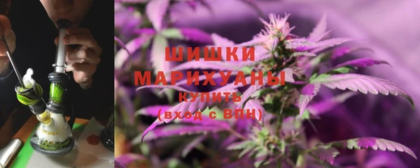 индика Володарск