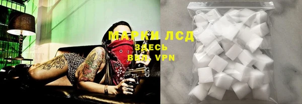 индика Володарск
