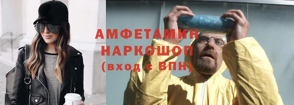 индика Володарск