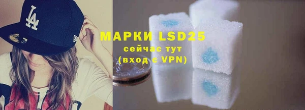 индика Володарск