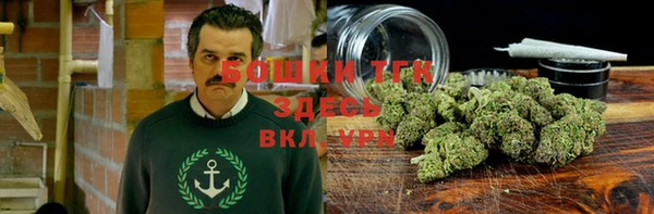 стаф Вяземский