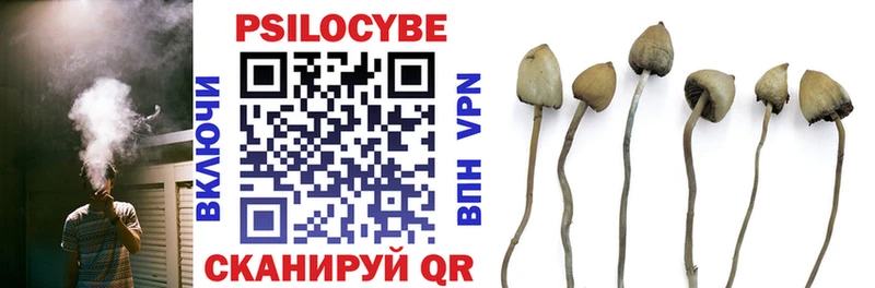 Псилоцибиновые грибы GOLDEN TEACHER  Купить где  Лаишево 